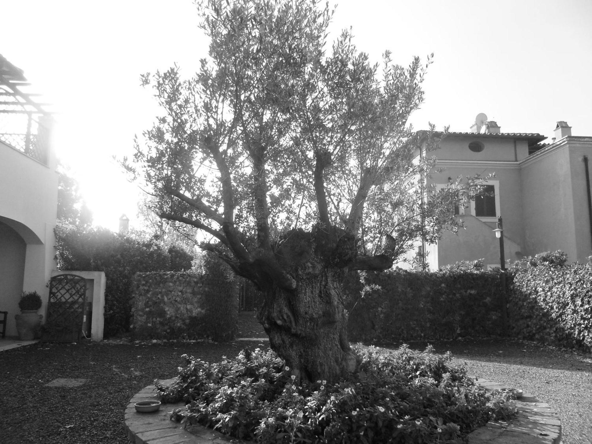 Casale Di Tormaggiore Villa And Country Suites Pomezia Exterior foto